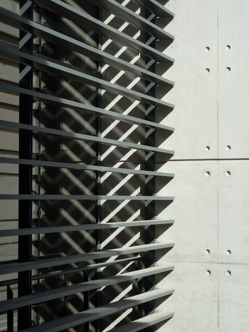 Collège Berthelot_Image 10